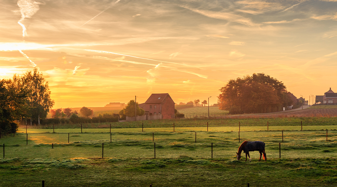 a horse grazing in a field as the sun sets over the countryside and green landscape stretching to the horizon